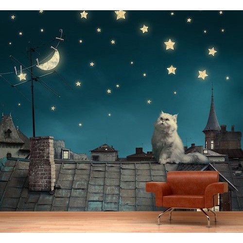 Cihangir De Bir Cati 3 Boyutlu Manzara Duvar Kagidi