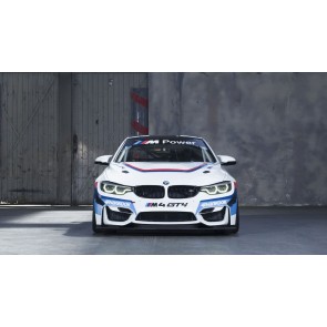 BMW GT4 Racing Car