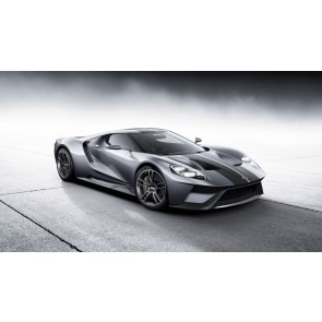 Ford GT Silver