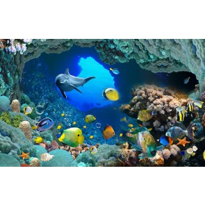 Derinlerdeki Balıklar