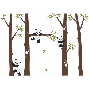 Pandalar Ormanda