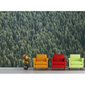 Bitişik Çam Ağaçları Manzara Duvar Kağıdı Modeli