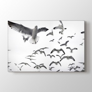 Beyaz Kuşlar - Siyah Beyaz Duvar Dekor Kanvas Tablo