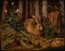 Hare in the Forest Duvar Kağıdı