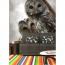 Üç Baykuş Yapışkanlı Duvar Kağıdı Uygulaması