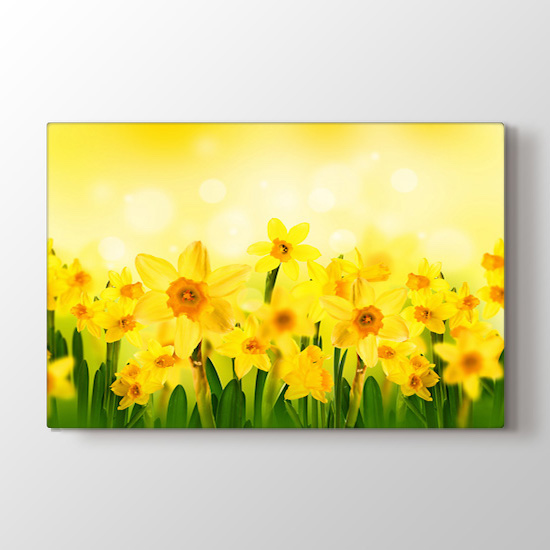 Güneş ve Çiçekler Tablosu | Çiçek Desenli Tablolar