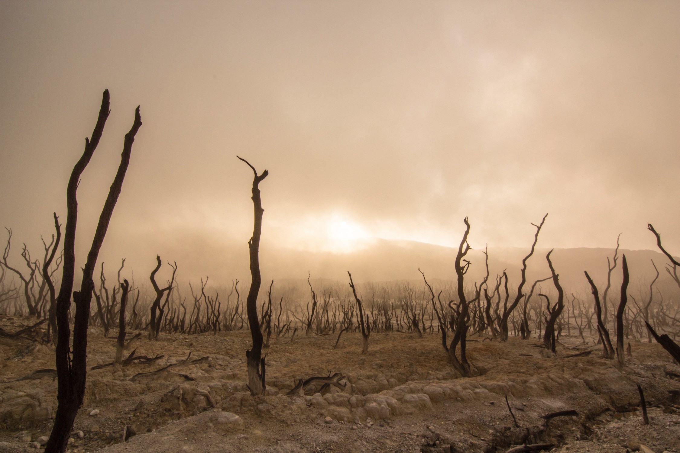Yerle Yeksan 3 Boyutlu Duvar Kağıdı