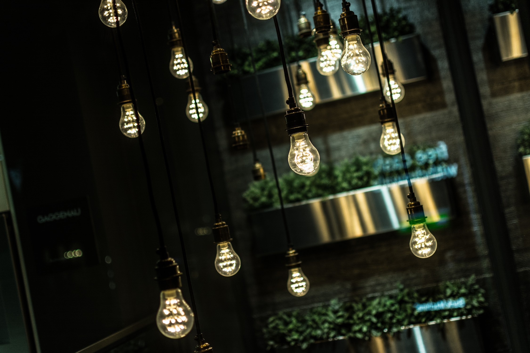 Lambaların Ahengi 3 Boyutlu Duvar Kağıdı